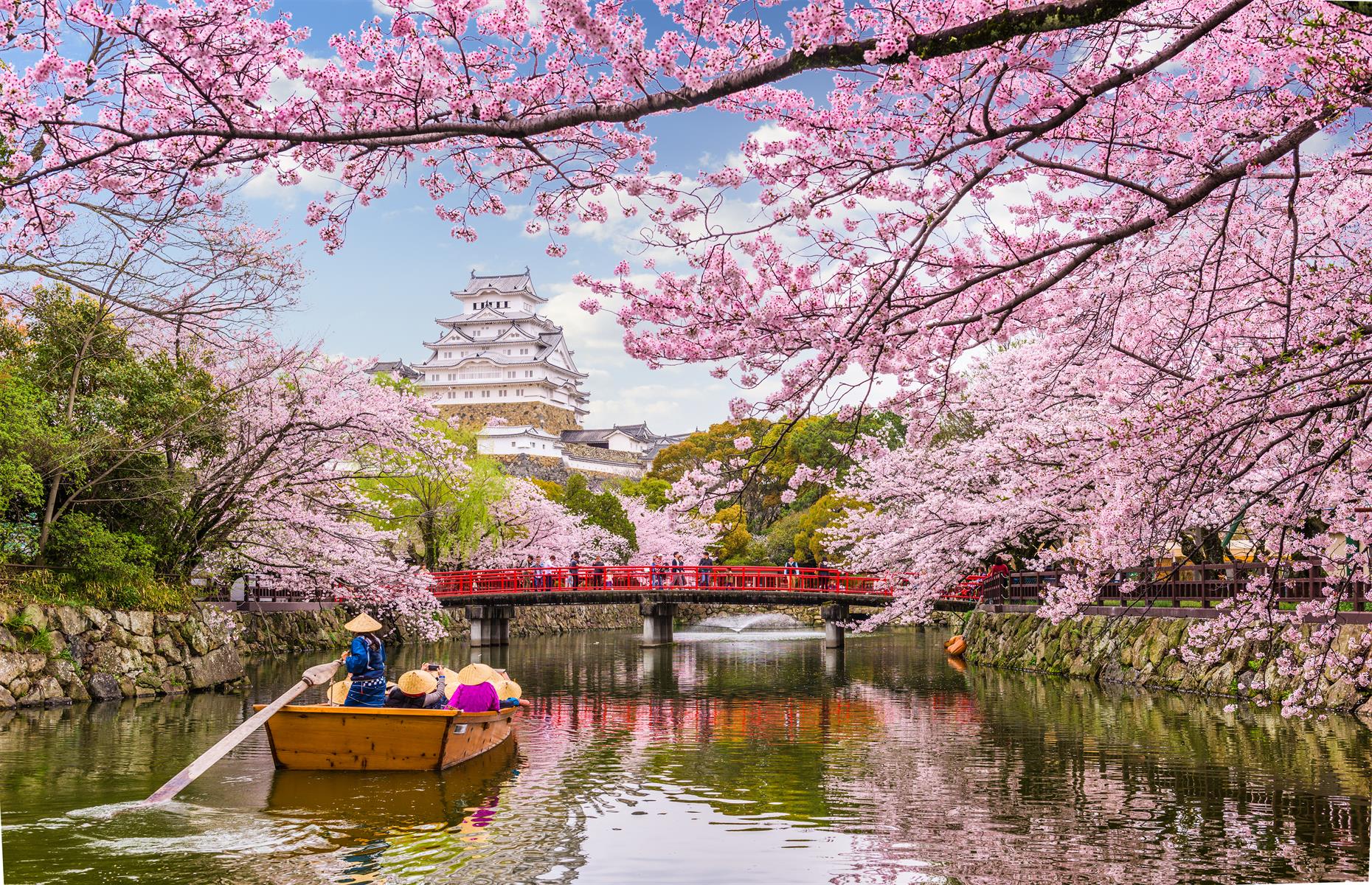 Biggest risers: 3. Japan